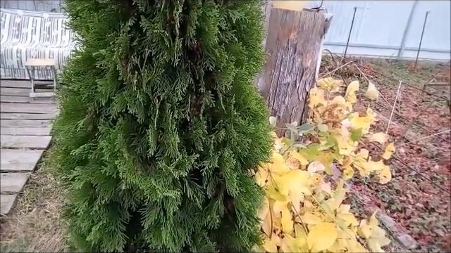 Как почувствовать себя звездой. смотреть онлайн