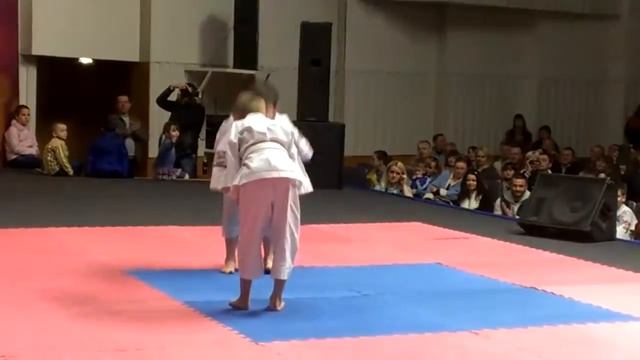 23.04.2016 Фестиваль з Айкідо "Цвіт Сакури" ФАЖО смотреть онлайн