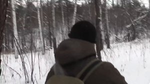 Охота на лося с лайками - TG3 в деле.