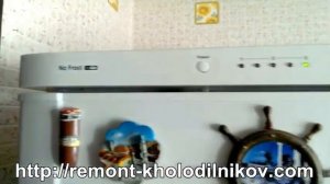 Поломка холодильника Samsung RL 39 SBSW