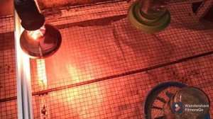 /Бройлер/ Таблица пропойки бройлеров.