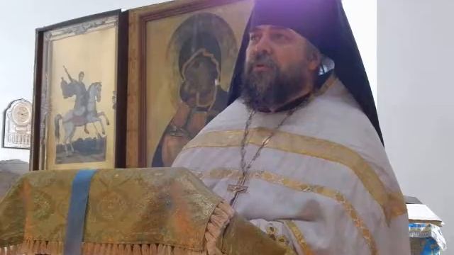 Безрогие коровы смотреть онлайн