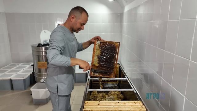 КФХ Жеребцов А.А. Медовый спас 2022 год смотреть онлайн