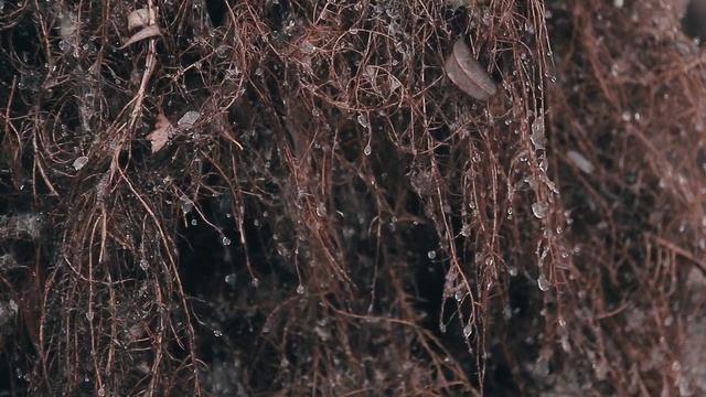 РЫБАЛКА на КРУПНЫХ КАРАСЕЙ. ОНИ ПОХИТИЛИ мою удочку. Рыбалка как в детстве. Рыбалка в Астрахани. смотреть онлайн