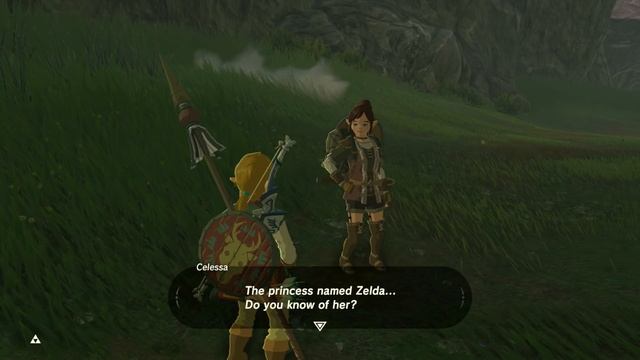LINK DROWNED (Dumbest NPC's Ever) | Breath of the Wild MASTER MODE Gameplay смотреть онлайн