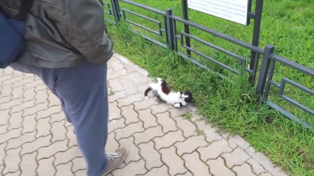 Второй день на Озере / ОТПУСК ВЛОГ #2 смотреть онлайн