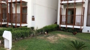 Hydros Club Hotel Турция, Кемер Территория Бунгало