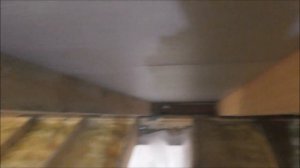 короед жрет крышу. Что делать