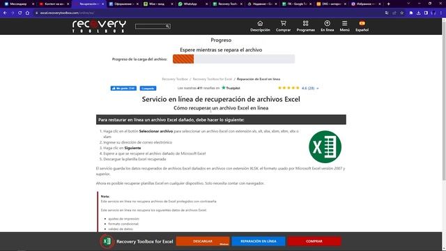 Recovery Toolbox for Excel - Cómo funciona Online смотреть онлайн