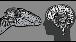 Рептильный мозг человека и его зло