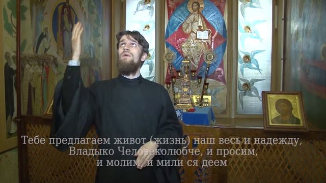 14 Тебе предлагаем живот наш весь и надежду, Владыко Человек смотреть онлайн