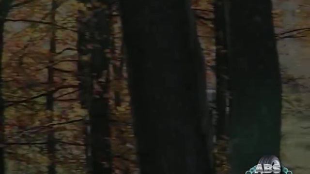 SAMO ZBOG VAS  TEST MICUBISI ASX REPRIZA   ABS SHOW 142