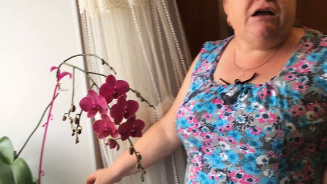 Как мама ухаживает за Орхидеей? смотреть онлайн