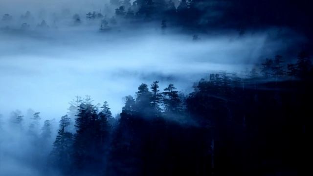 Эхо любви смотреть онлайн