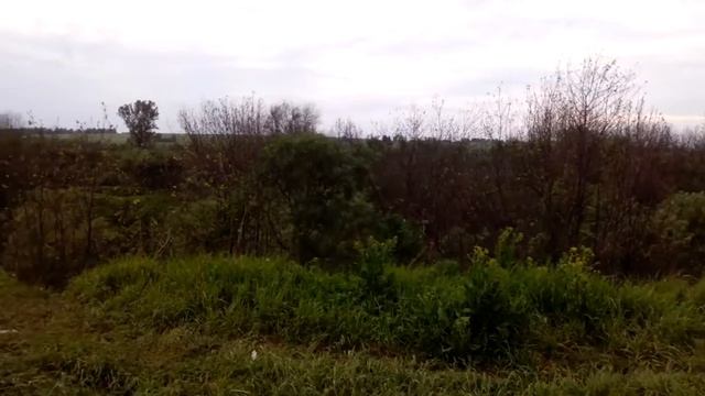 Рыбалка в Костёнково смотреть онлайн