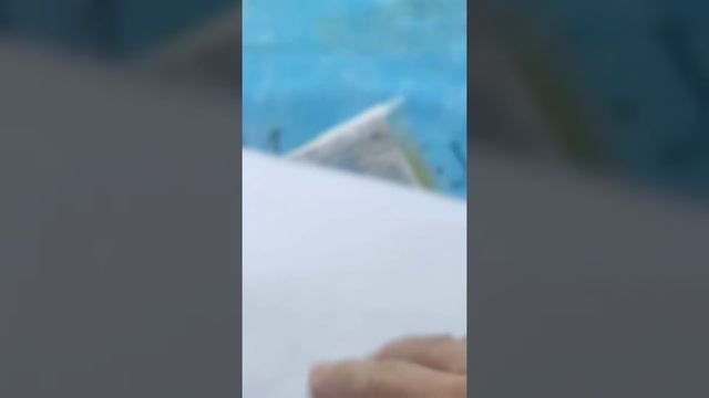 тромбоциты падают. Переливаем криопреципитат смотреть онлайн