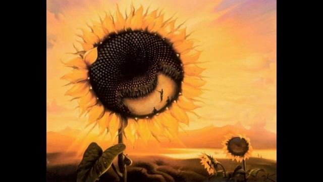 Карлос Кастанеда - "Намерение", ч.2 смотреть онлайн