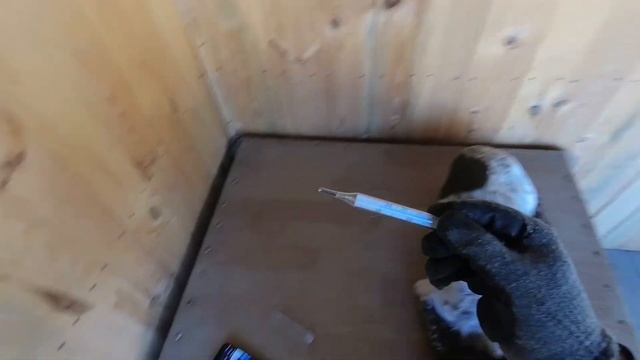 Заболела собака (спаниель). Пироплазмоз смотреть онлайн