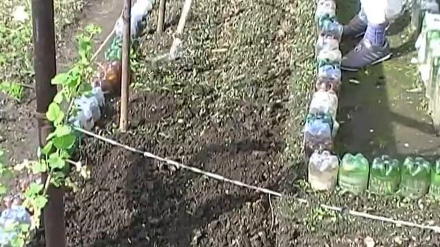 2013 г. Подготовка грядок в огуречной теплице . смотреть онлайн