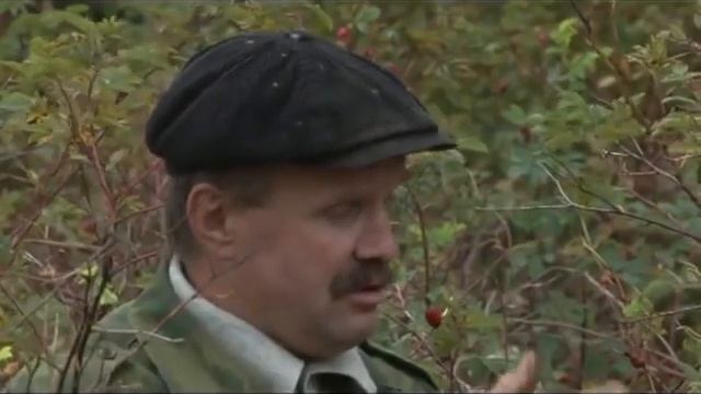 Травовед Шиповник Рассказывает Моряков Сергей Викторович смотреть онлайн