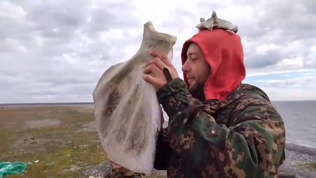 Пеший поход по о. Вайгач смотреть онлайн