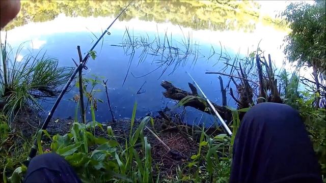 Рыбалка на Дону. Ловля на кукурузу с опарышем. смотреть онлайн