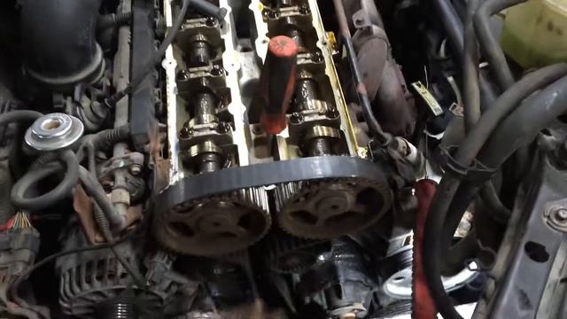 2.0l Zetec timing belt смотреть онлайн