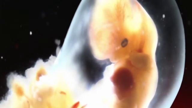 Зарождение человеческой жизни смотреть онлайн