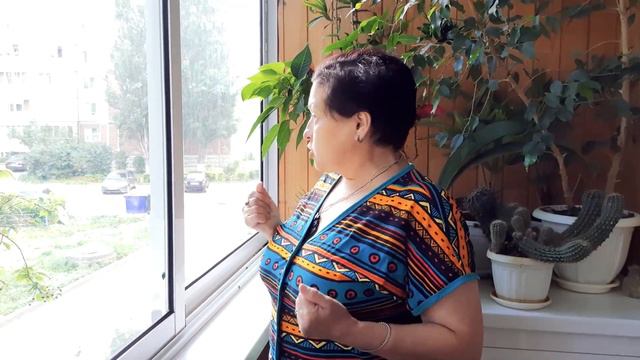 Новочебоксарцы нашли подозрительные отверстия на своих окнах: "В окно стреляли из пневматики" смотреть онлайн