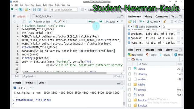 Student Newman- Keuls Test( Two way ANOVA) in R software. смотреть онлайн