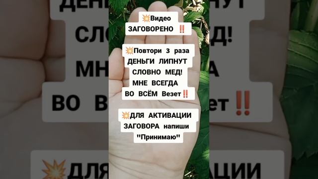 Подпешись на БОГАТСТВО‼️#деньги #заговор#приметы #обряды #обрядынаденьги #ритуалы #заговоры #ритуал смотреть онлайн