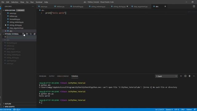 How to solve “can't open file”,“Errno 2 No such file or directory” in python смотреть онлайн