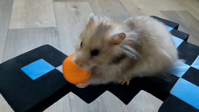 Хомяк играет в танчики (Армия криперов из Minecraft vs Хомяк) смотреть онлайн