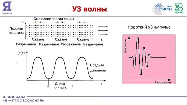 Вебинар по направлению «Технологии медицины будущего», часть 1 смотреть онлайн