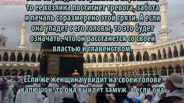 К чему снится Шапка, тюбетейка, капюшон сонник, толкование сна смотреть онлайн