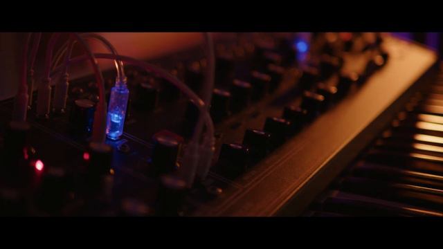 Time Will Tell | SWAM Audio Saxophone with STEPIC et. al. смотреть онлайн