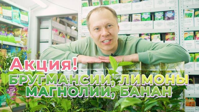 Экзотика смотреть онлайн