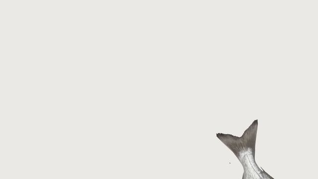 Applaws Pet Food to satisfy the cravings of your trusty companion смотреть онлайн