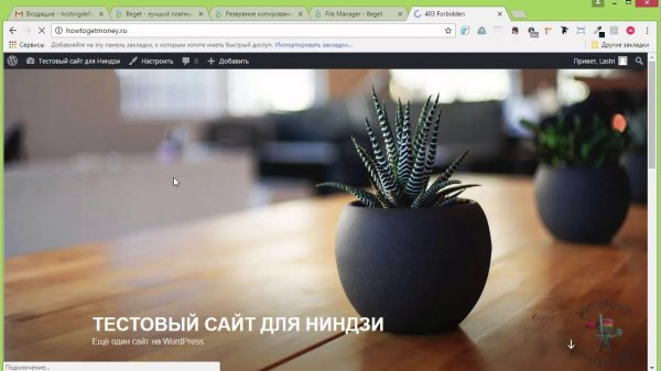 Хостинг beget.ru. Как сделать бекап