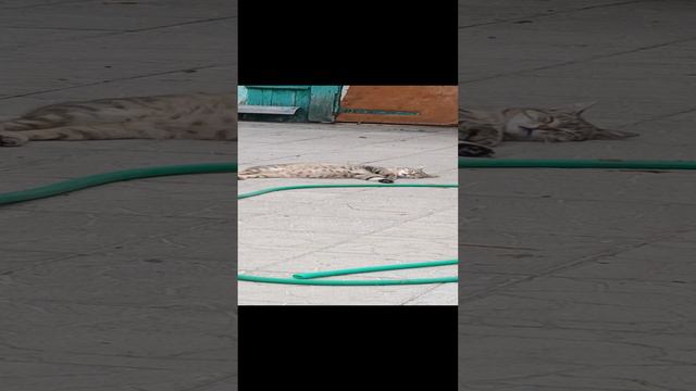 На расслабоне