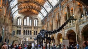 Top 12. Best Museums in England - United Kingdom