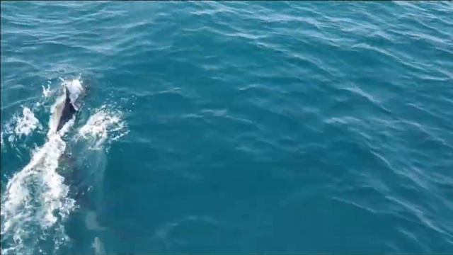 Ситуация на рынке б/у яхт 21/22 смотреть онлайн