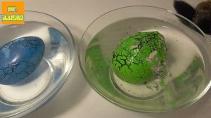 Вырастили птиц вылупившихся из яйца. Игрушки-растушки.