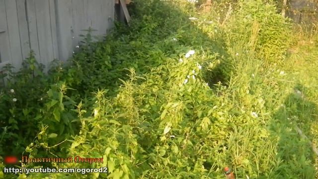 Природного земледелия не существует! смотреть онлайн