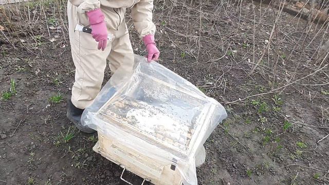 Зачем сжимать семьи? Результат! Уже добавляем рамки! смотреть онлайн