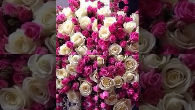 С Днем рождения,Полина! смотреть онлайн