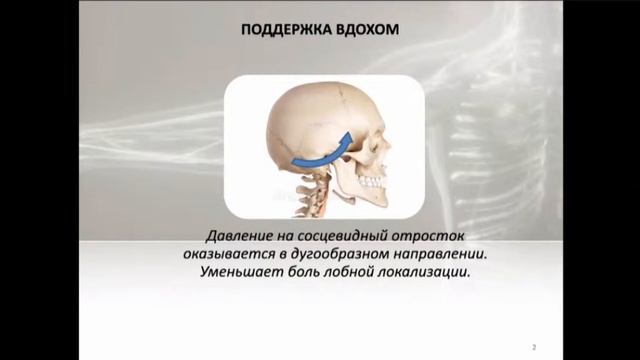 ДИСФУНКЦИИ ВИСОЧНОЙ КОСТИ. ФРАГМЕНТ ВЕБИНАРА. ПРИКЛАДНАЯ КИНЕЗИОЛОГИЯ. КИНЕЗИОЛОГИЯ. смотреть онлайн