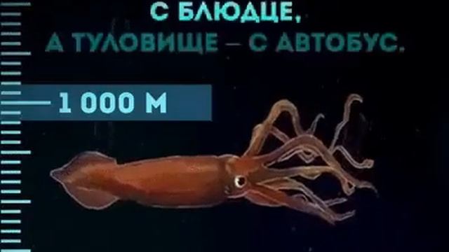 Глубина океана смотреть онлайн