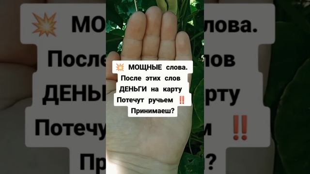 Подпешись на БОГАТСТВО‼️#заговор #приметы #деньги #магия #обряды #обрядынаденьги #ритуалы #заговоры смотреть онлайн