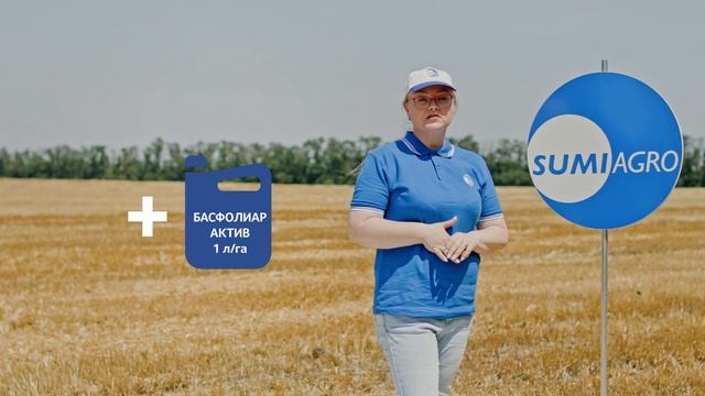 Как защитить озимую пшеницу от болезней и вредителей? Результат на опытном поле смотреть онлайн